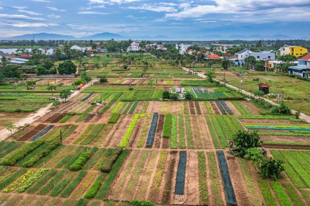 Ha My Beachside Villa Hoi An Ha Bang Eksteriør bilde